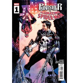Marvel Comics Punisher vs. Spider-Man #1