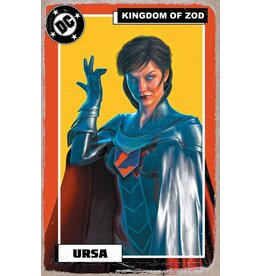 DC COMICS Supergirl #17 Cover E Mark Spears Foil Variant