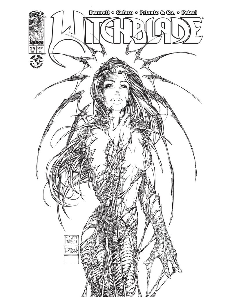 IMAGE COMICS Witchblade #25 Cover B Michael Turner Variant