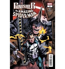 Marvel Comics Punisher vs. Spider-Man #3