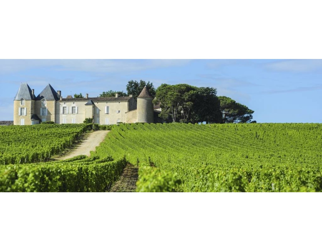 Wijnreis Frankrijk Wijnreis Frankrijk