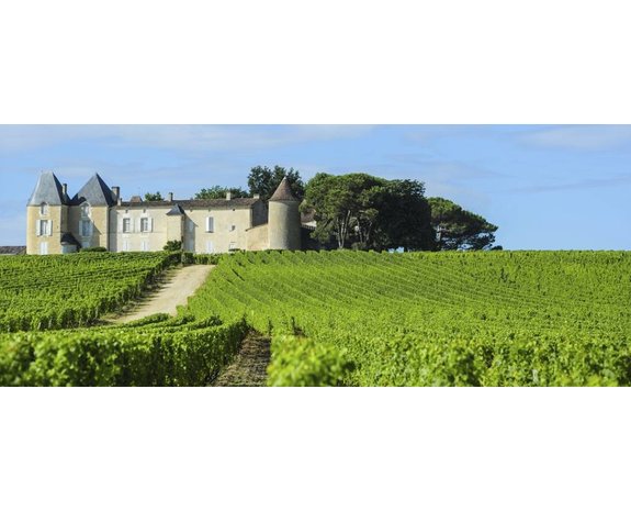 Wijnreis Frankrijk Wijnreis Frankrijk