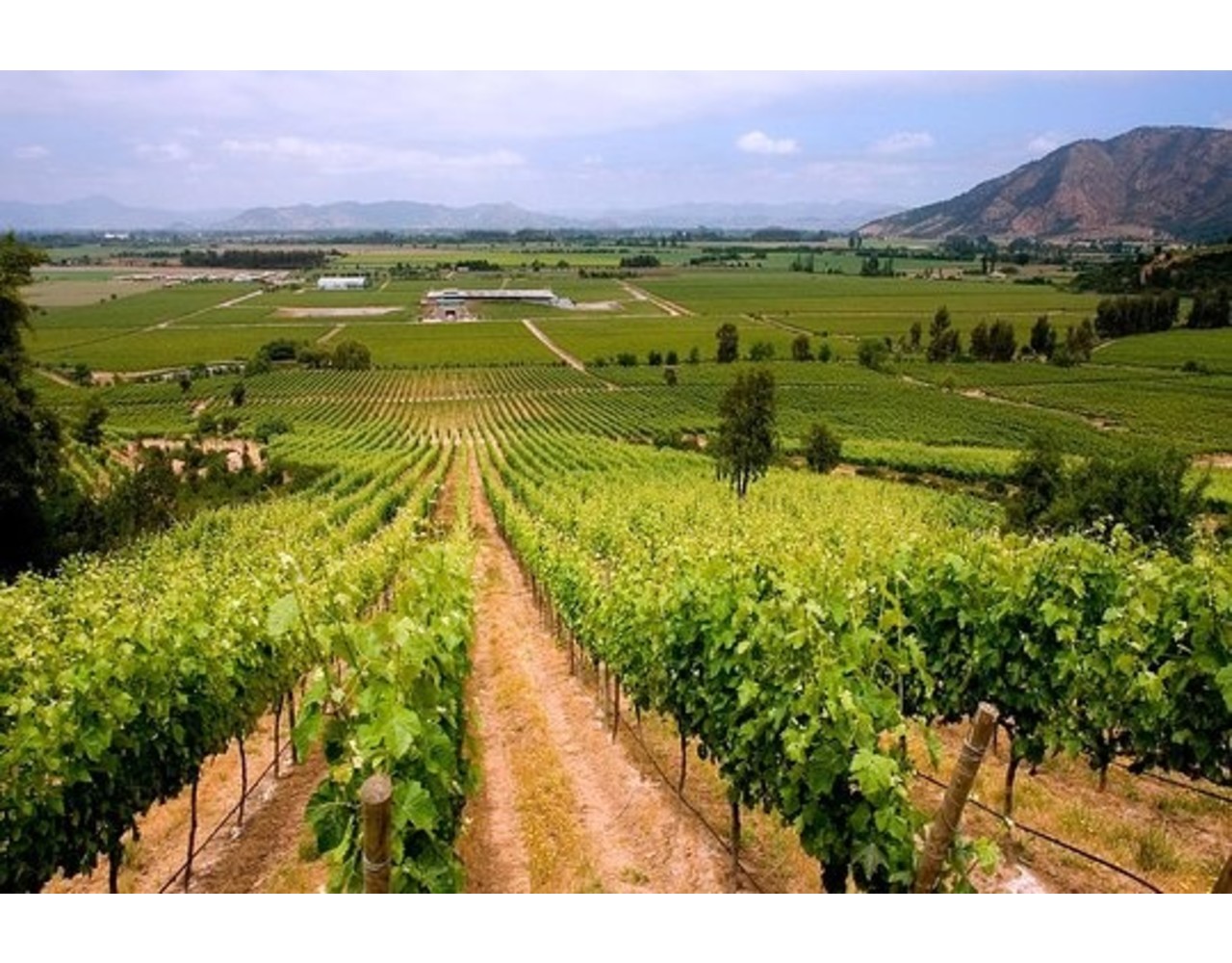 Giftbox Verrassing Giftbox Verrassing