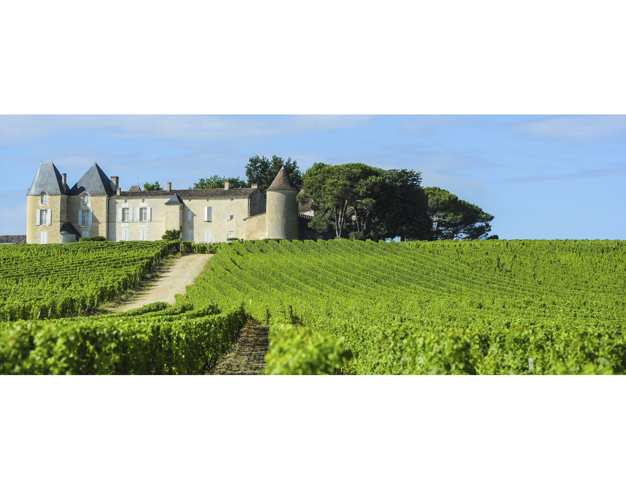 Belevingsbox Prestige