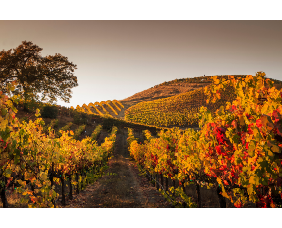 Belevingsbox  Herfst Belevingsbox  Herfst