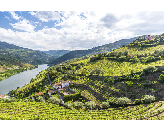 Kopke Geschenkdoos Christmas Ruby met 2 glazen Kopke Geschenkdoos Christmas Ruby met 2 glazen