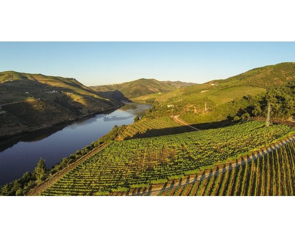 Kopke Geschenkdoos Christmas Ruby met 2 glazen Kopke Geschenkdoos Christmas Ruby met 2 glazen