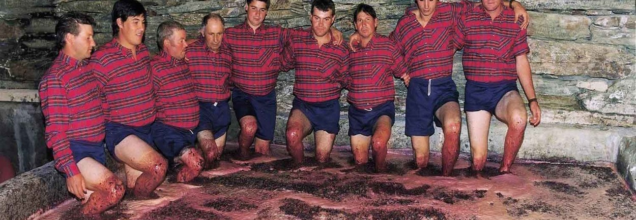 Alles wat je altijd al wilde weten over Port!