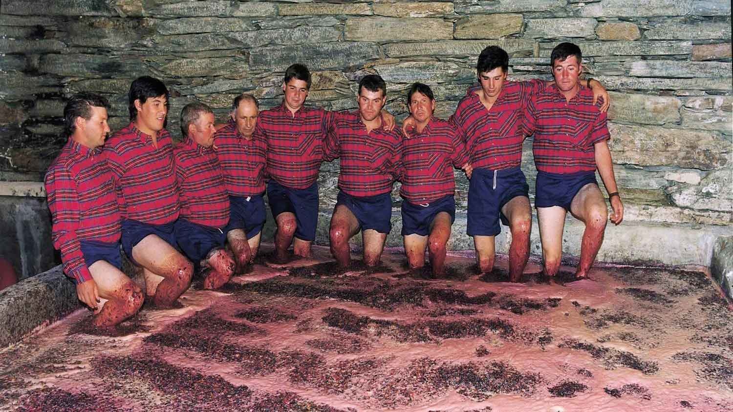 Alles wat je altijd al wilde weten over Port!