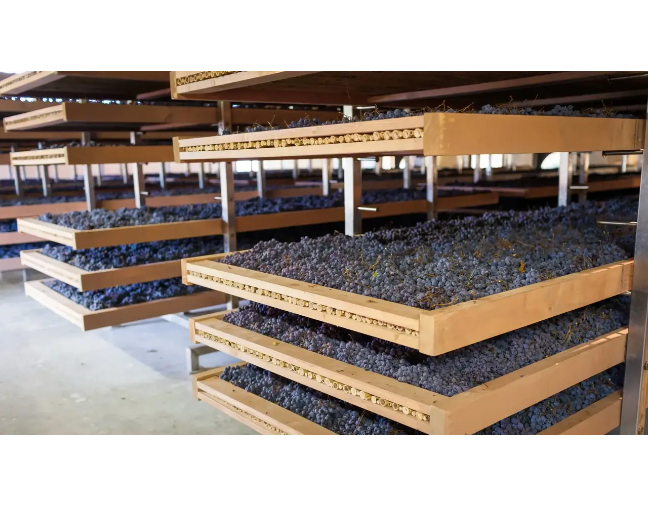 Wijntrip Grand Cru Wijntrip Grand Cru