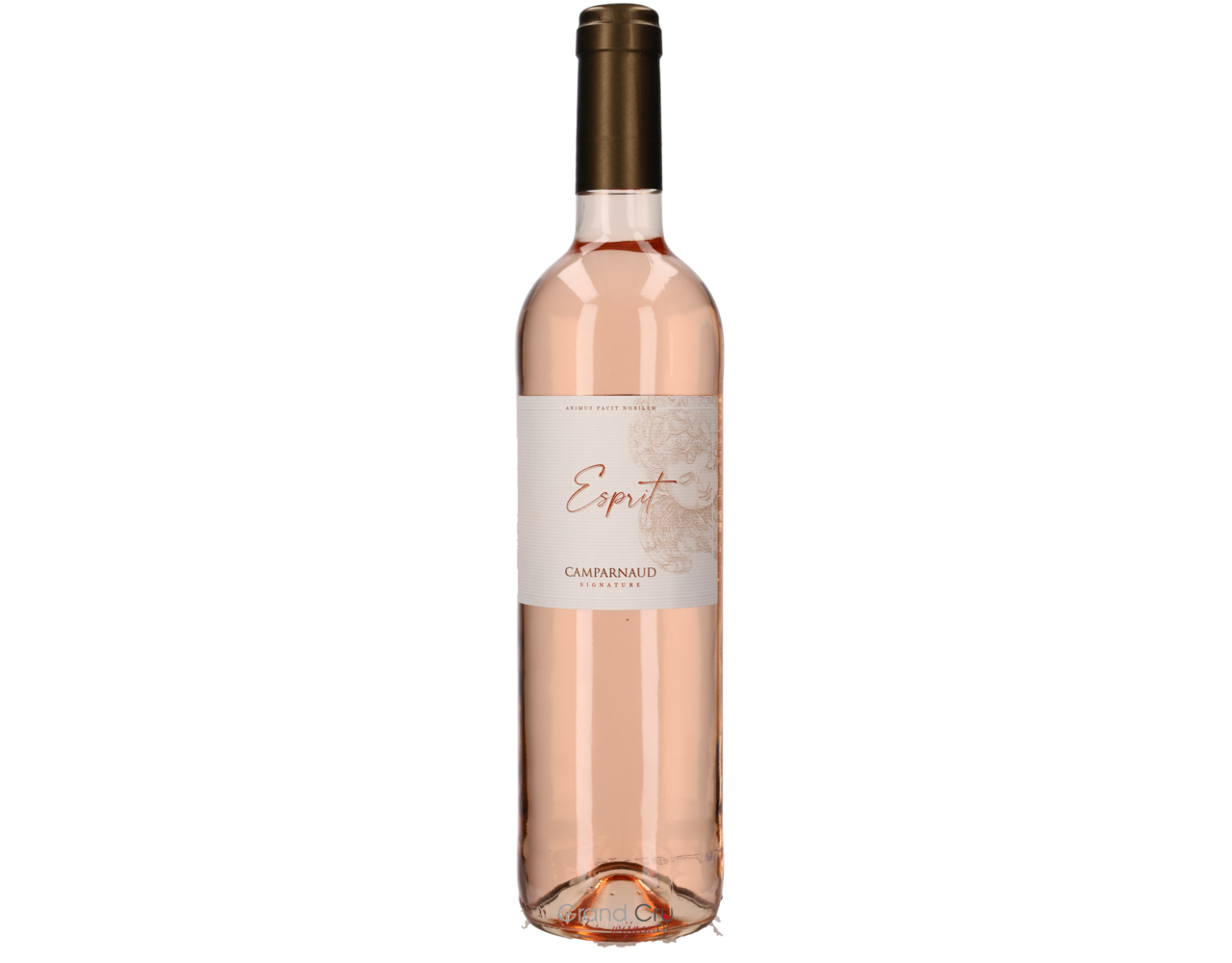Camparnaud | Provence | Esprit Rosé | 2024