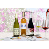 Wijntrip Mediterraans Frankrijk Wijntrip Mediterraans Frankrijk