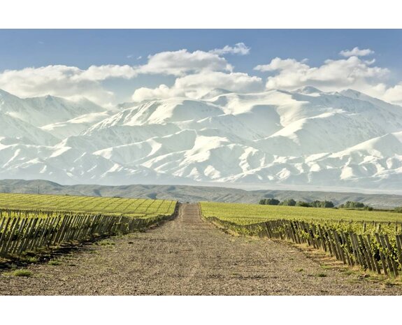 Herfstbox - Luxe Edition