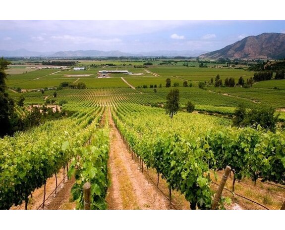 Giftbox Christmas Giftbox Christmas