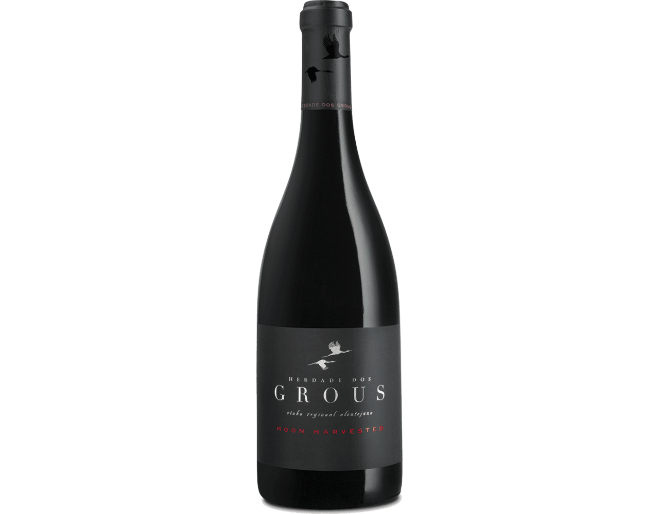 Herdade dos Grous | Moon Harvested
