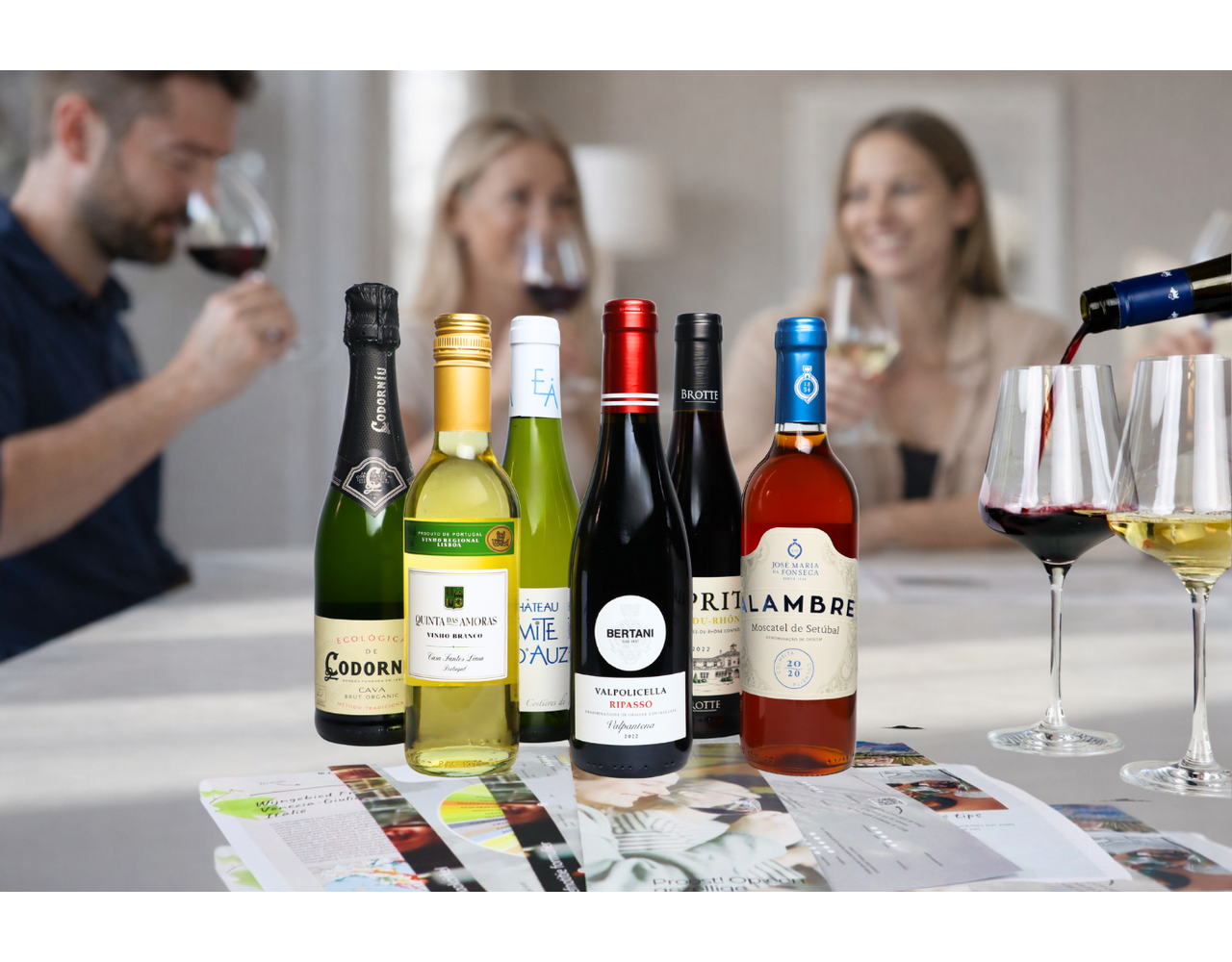 Mini-Wijnreis Europa