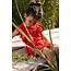 LOOXS Little Jurk (7862) LOOXS