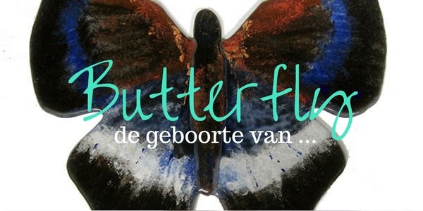 Workshop: De geboorte van een vlinder