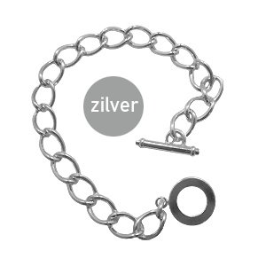 Armband met slot - Zilverkleur - 20cm  - 11mm