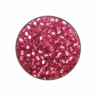 Rocailles 11/0 - Fuchsia binnenkant zilver