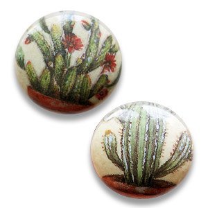 Pastille cactus - Beige/lgroen - Papier/resin - 25mm