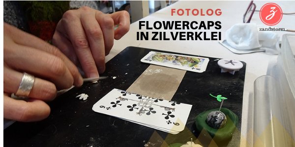 Fotolog:  Flowercap in zilverklei (01/2019)