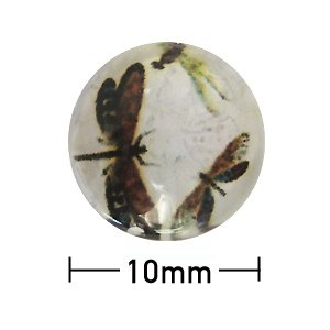 Kleefcabochon - Rond - Libelle en vlinder - 10mm