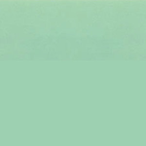 Bullseye - Mint Green - 12.5x14.5 cm