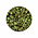 Delica 11/0 - DB2265 - Opaque Picasso Chartreuse - 3,2gr