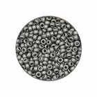 Rocailles Miyuki 11/0 - Nickel Plated Mat N°190F- 5gr
