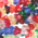 Bloem - Rainbow AB - Glas - 6x8mm