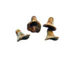 Bloem - Donker - Resin - 12x12mm