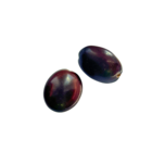 Ovaal - Bruin - Sambag zaad - 20mm