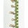 Creapakket - Beauty armband - Rood/Goud