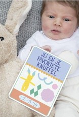 Milestone Cards Milestone Pregnancy Cards NL
