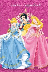 Disney Princess - Creche- en oppasboek