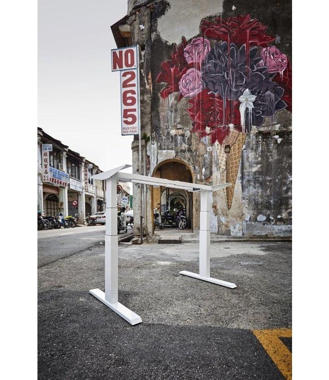 Actiforce Elektrisch zit sta bureau  Steelforce Pro 670 SLS