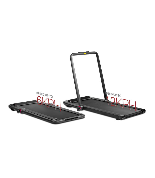 Flow Fitness DTM200i