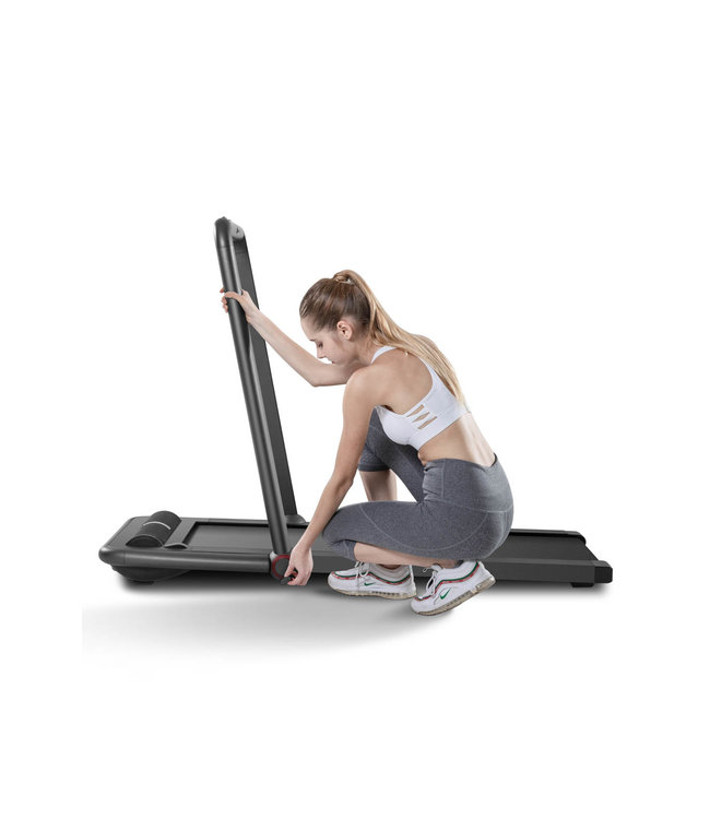 Flow Fitness DTM200i