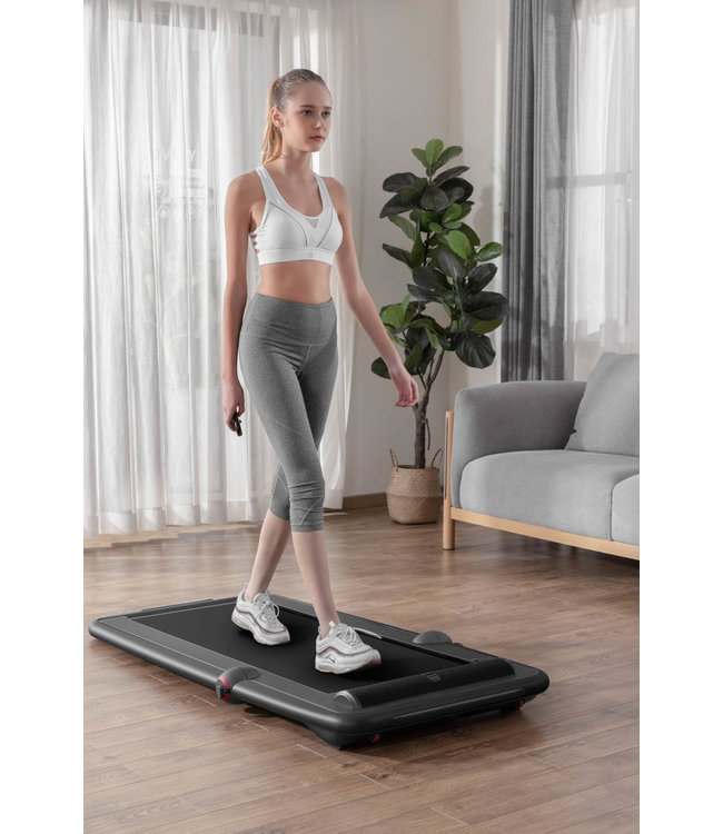 Flow Fitness DTM200i