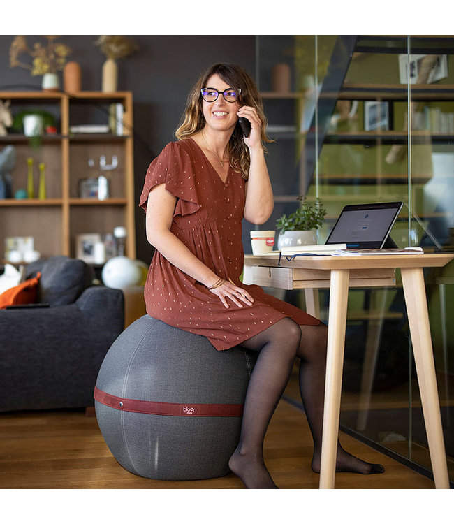 Bloon Paris Original - Gris platine zitbal