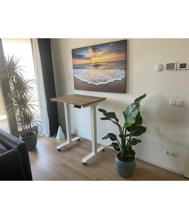 Electrisch zit-sta bureau - Studydesk Pro Small