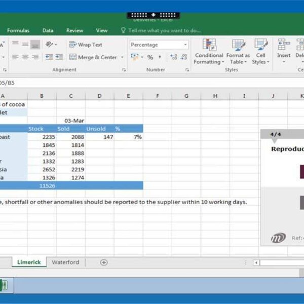 Excel 2016  Course E-learning Basics