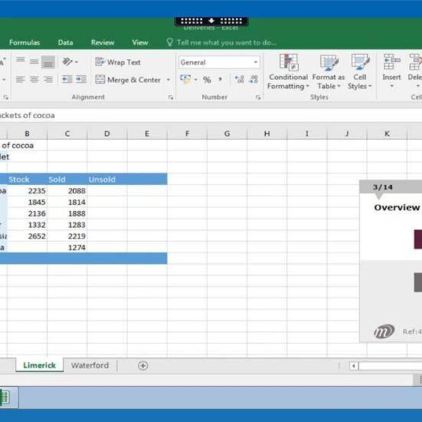 Excel 2016 Course E-learning Custom-made