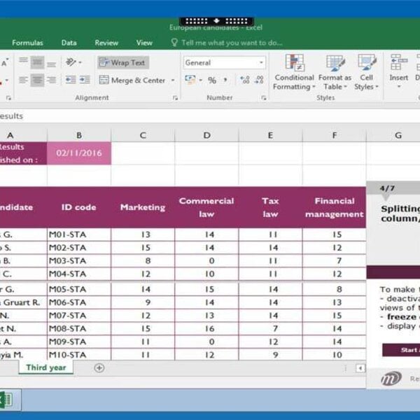 Excel 2016 Course E-learning Custom-made