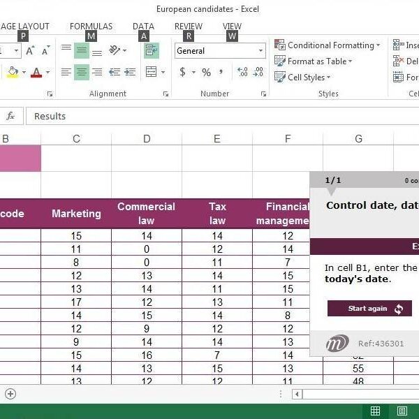 Excel 2013 Course E-learning Expert