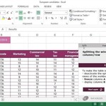 Excel 2013 Course E-learning Basics & Intermediate