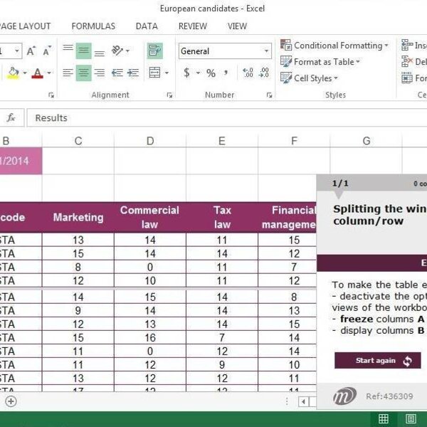 Excel 2013 Course E-learning Basics & Intermediate