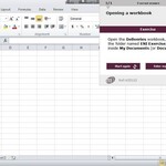 Excel 2010 Course E-learning Basics