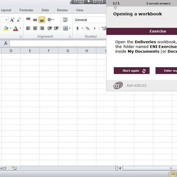 Excel 2010 Course E-learning Basics